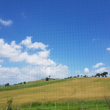 Agriturismo Bio Le 4 Stagioni Porrona Luaran gambar